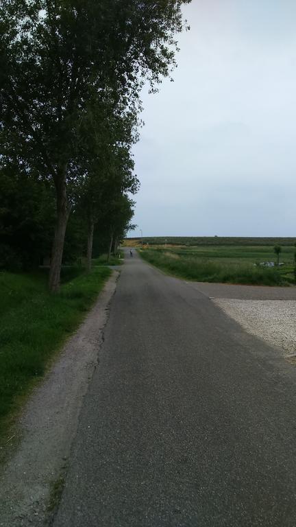 Meer En Zee Scharendijke Kültér fotó